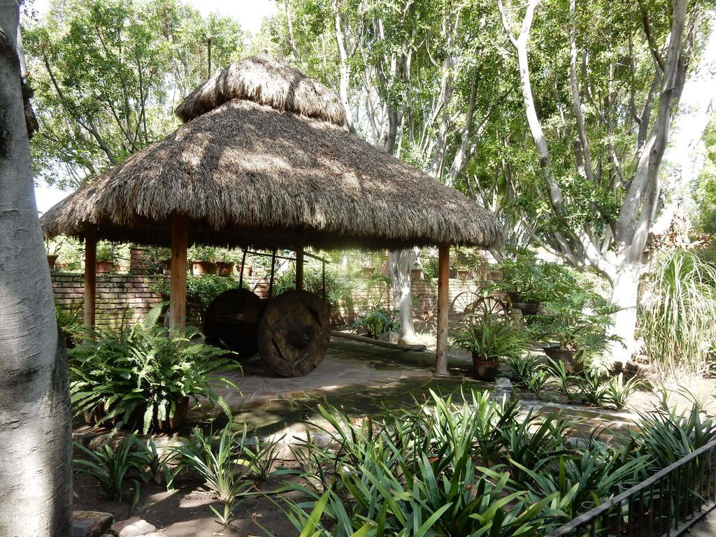 Las Calandrias Hotel อัทลิซโก ภายนอก รูปภาพ